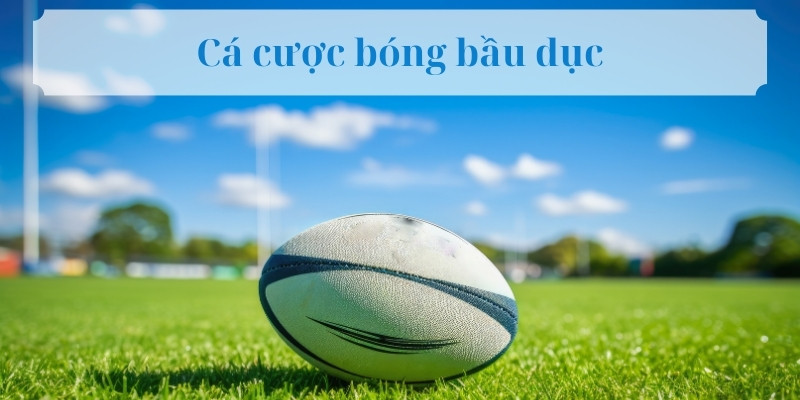 Cá cược bóng bầu dục và chinh phục game từ nhà Tài Xỉu 2 Nền tảng cá cược bóng bầu dục - Tài Xỉu