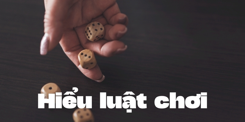 Cách thắng Tài Xỉu: Bí quyết thành công từ nhà cái Tài Xỉu 2 Hiều luật chơi là điều kiện tiên quyết khi chơi Tài Xỉu