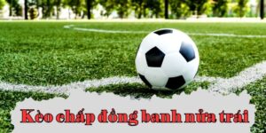 keo chap dong banh nua trai la gi 1