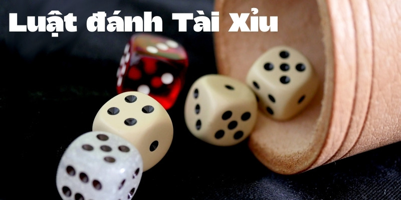 Luật đánh Tài Xỉu: Nền tảng vững chắc cho người chơi 2 Hiểu rõ luật đánh Tài Xỉu khi tham gia