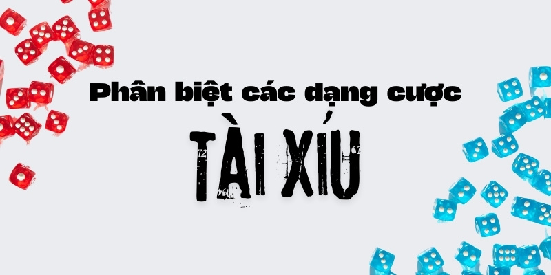 Luật đánh Tài Xỉu: Nền tảng vững chắc cho người chơi 4 Các dạng cược Tài Xỉu hay gặp